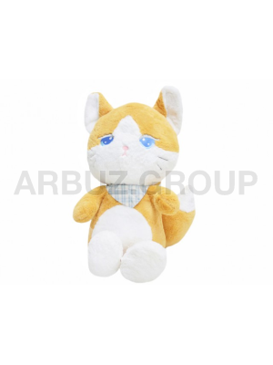 КОТ С ПЛАТКОМ