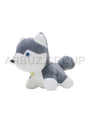 СОБАКА ХАСКИ