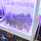 Автомат 'Краболов'