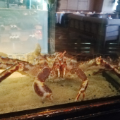 Автомат 'Краболов - гигант'