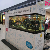 Рекламно - развлекательный аппарат Море желаний