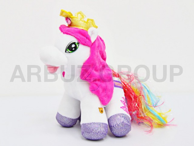 ПОНИ РАДУГА мал