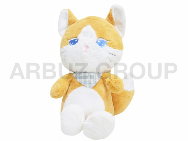 КОТ С ПЛАТКОМ